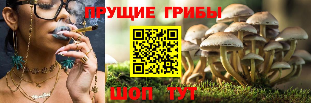 Бутурлиновка  Галлюциногенные грибы мицелий  Псилоцибиновые грибы MAGIC MUSHROOMS  Вход с VPN 